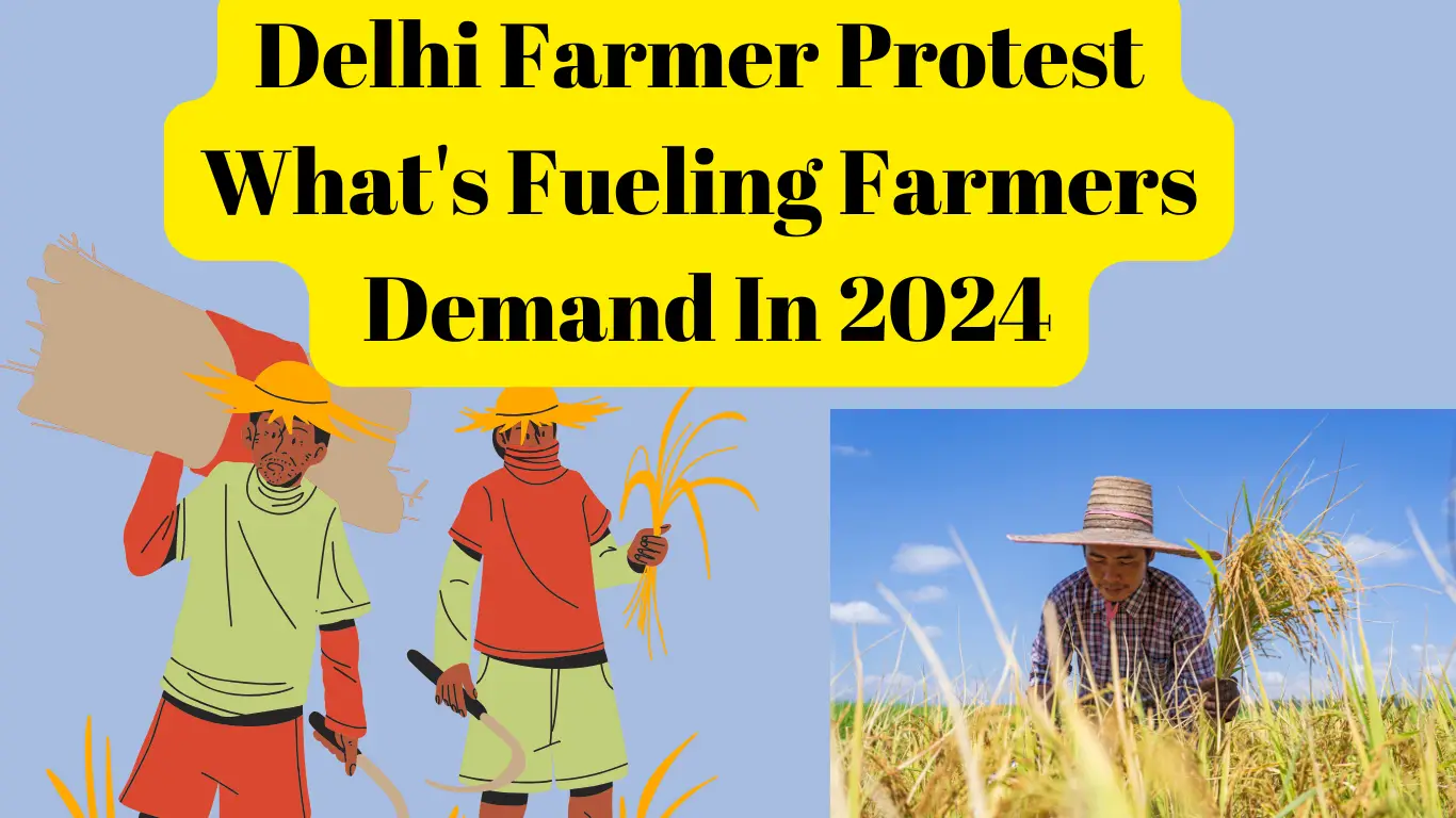 Delhi Farmer Protest